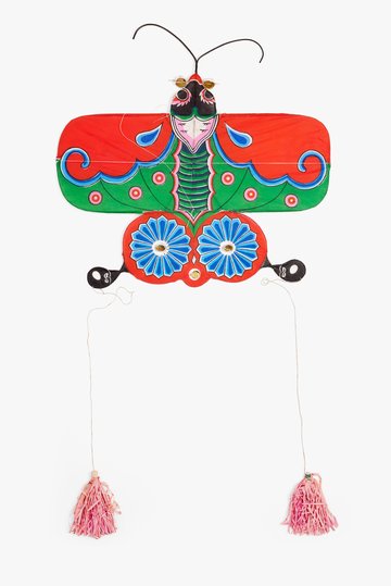 Butterfly Kite