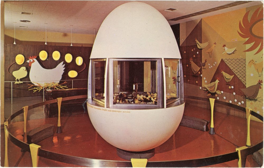 “Giant Egg”
