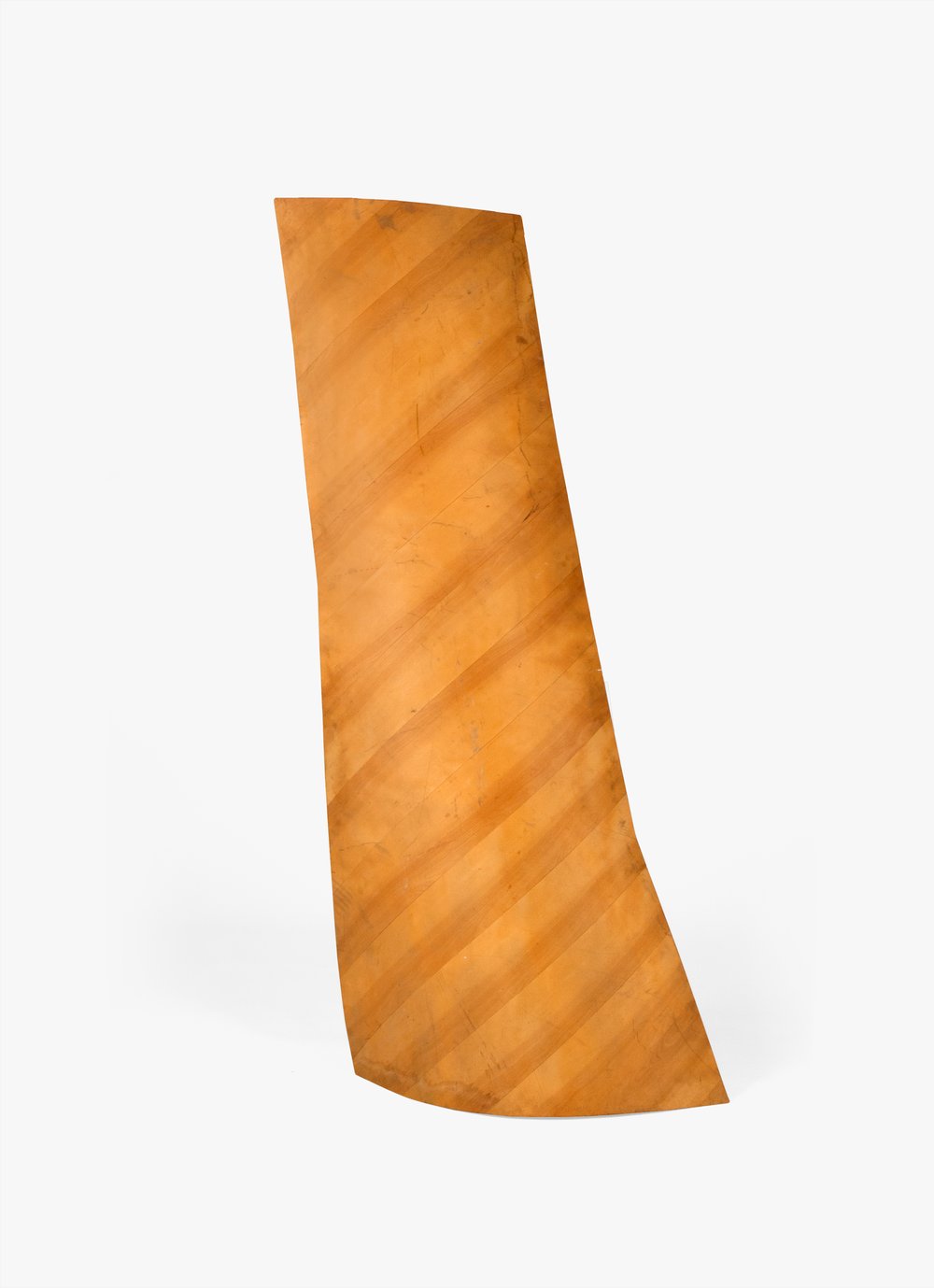 Airplane Rudder Skin